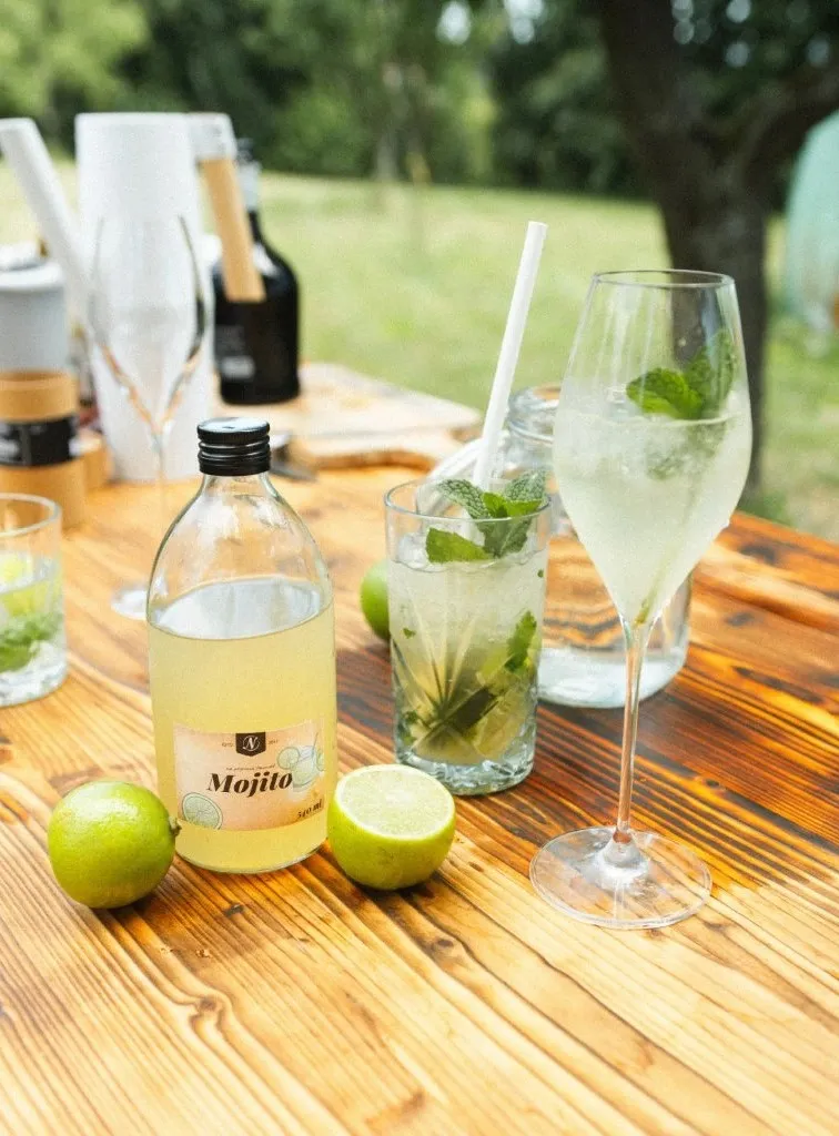 2183-1_limoneta-mojito-sirup-540-ml.webp